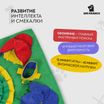 Нюхательный коврик Mr.Kranch Бейсбольный матч размер 50x70см СКИДКА 50% — фото 3
