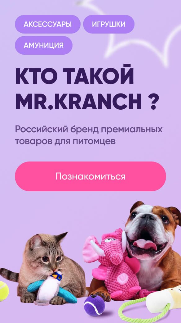Кошка и английский бульдог с игрушками Mr. Kranch